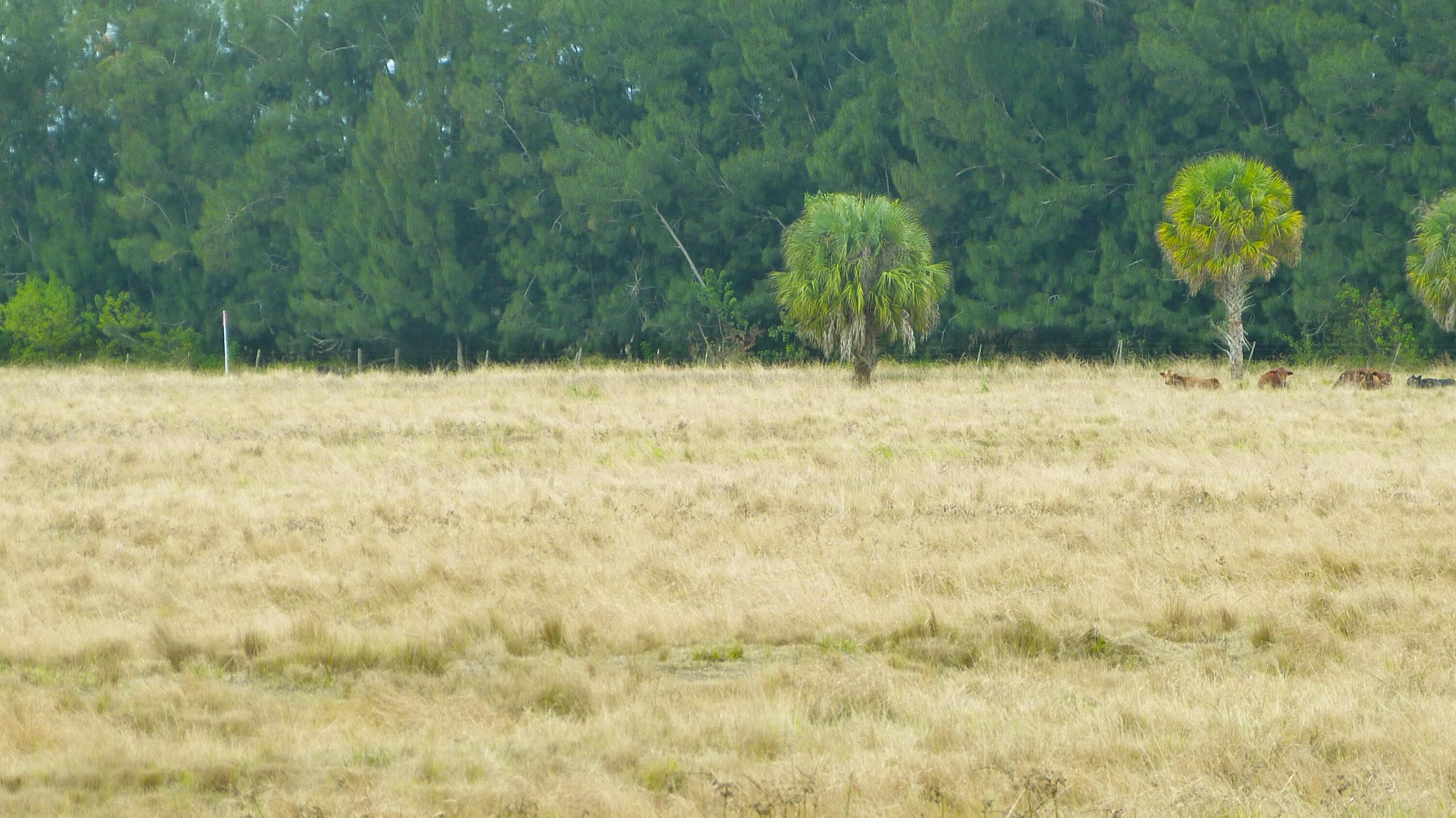 Tbd Kelly Road, Fort Pierce, FL 34945 4