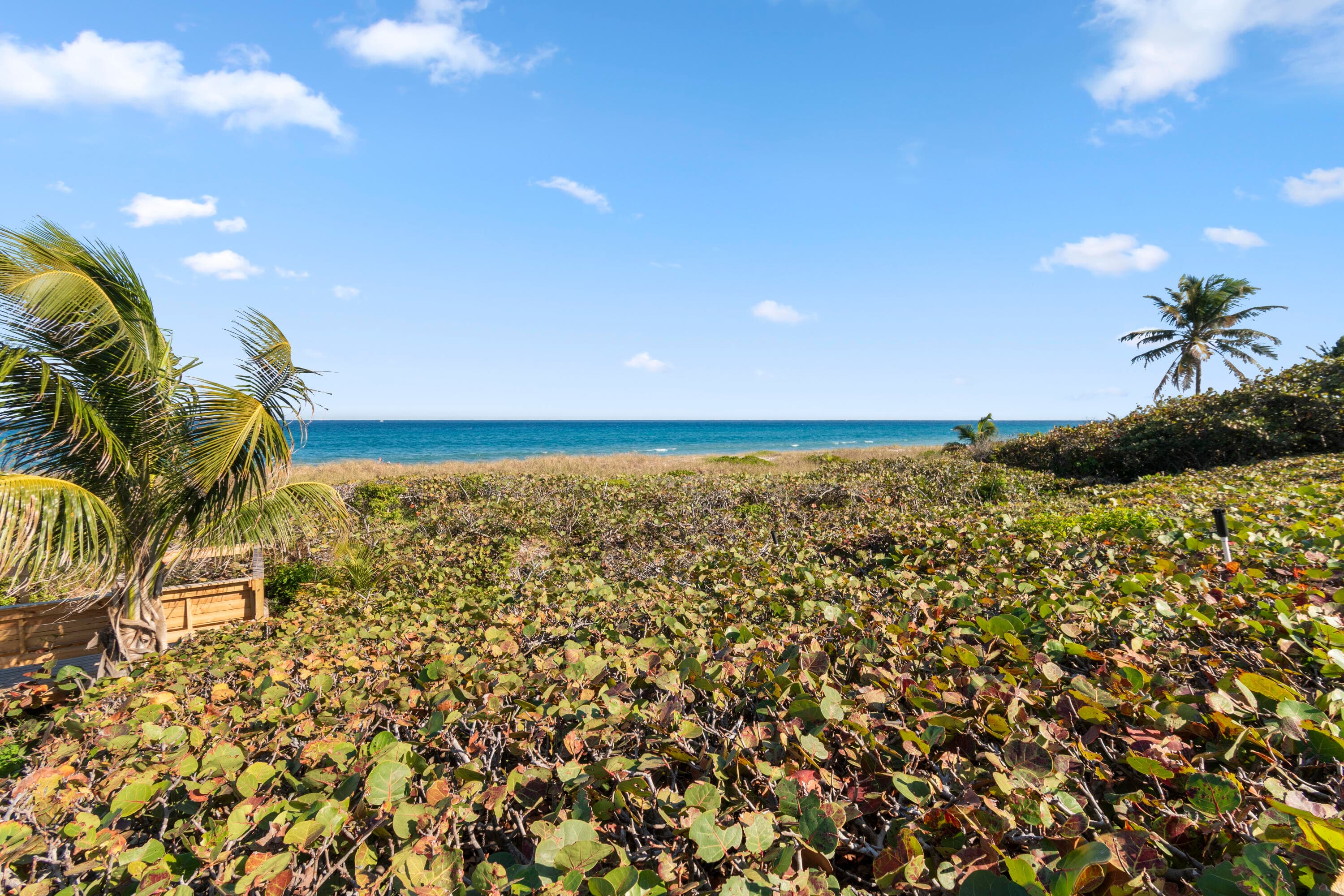 2871 N Ocean Boulevard C123, Boca Raton, FL 33431 36