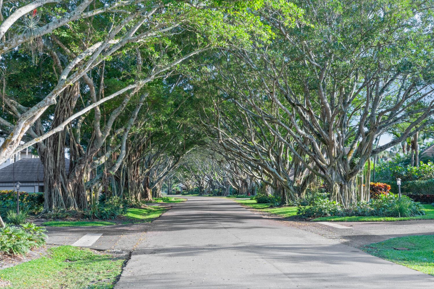 2785 Polo Island Drive J301, Wellington, FL 33414 64