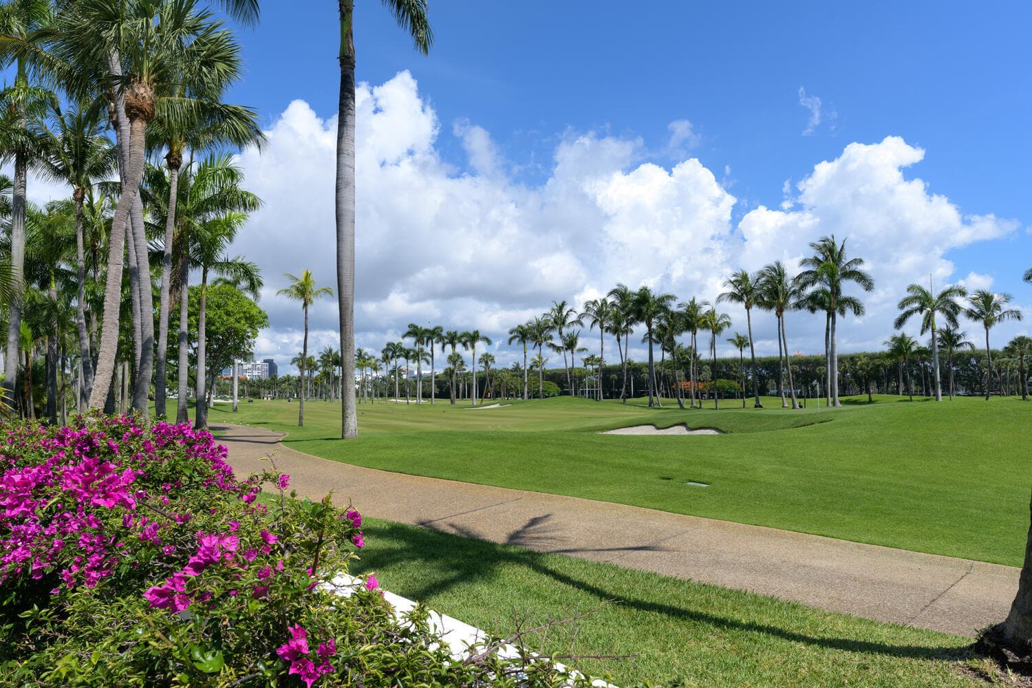 201 Pendleton Avenue, Palm Beach, FL 33480 3