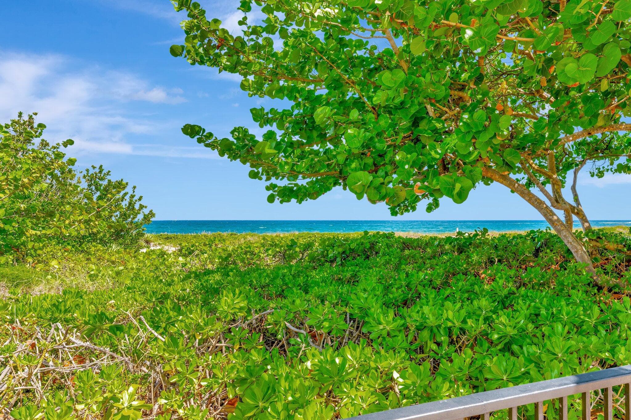 1900 S Ocean Boulevard 8g, Lauderdale-By-The-Sea, FL 33062 30