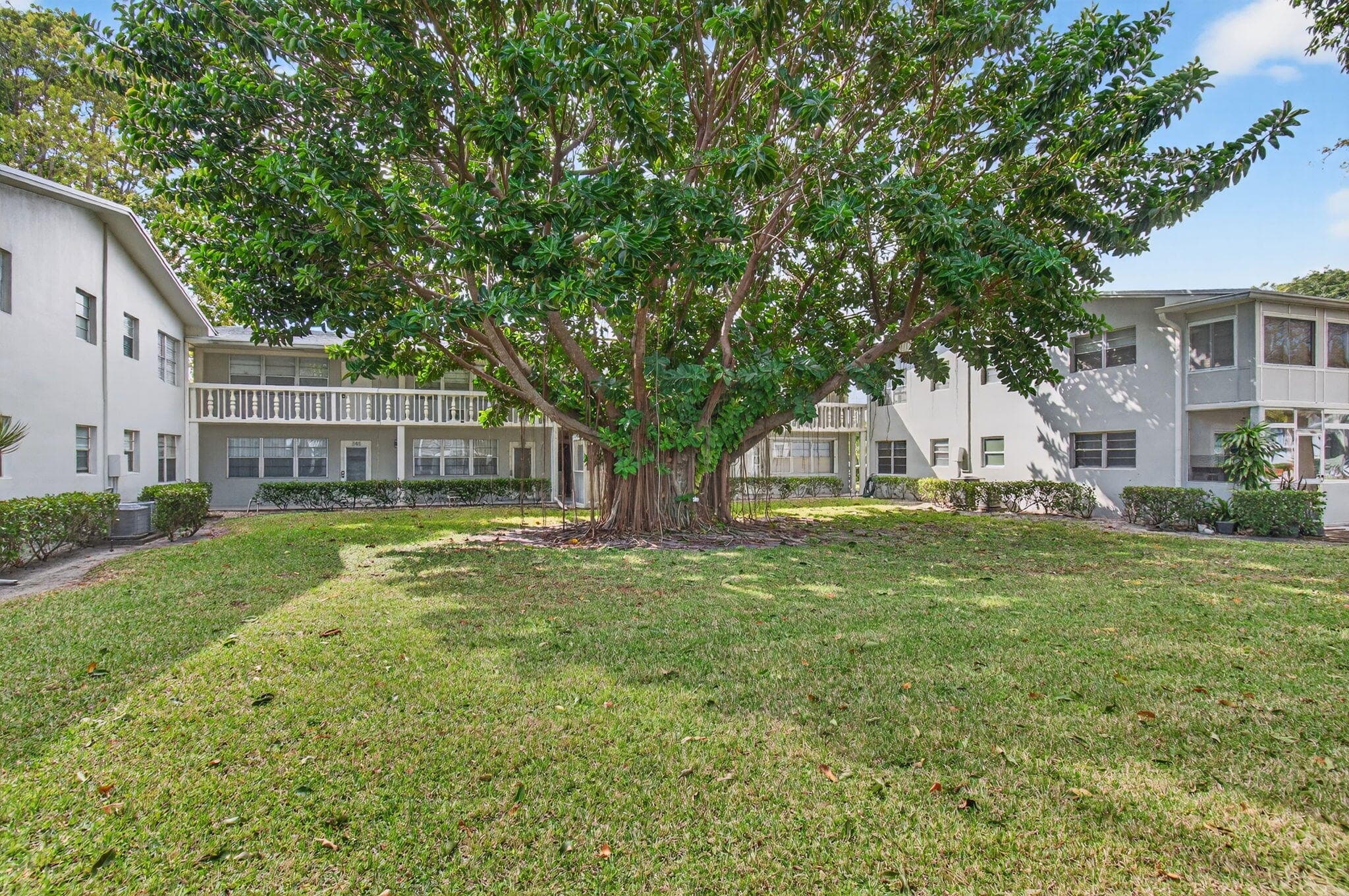 247 Ventnor R, Deerfield Beach, FL 33442 44