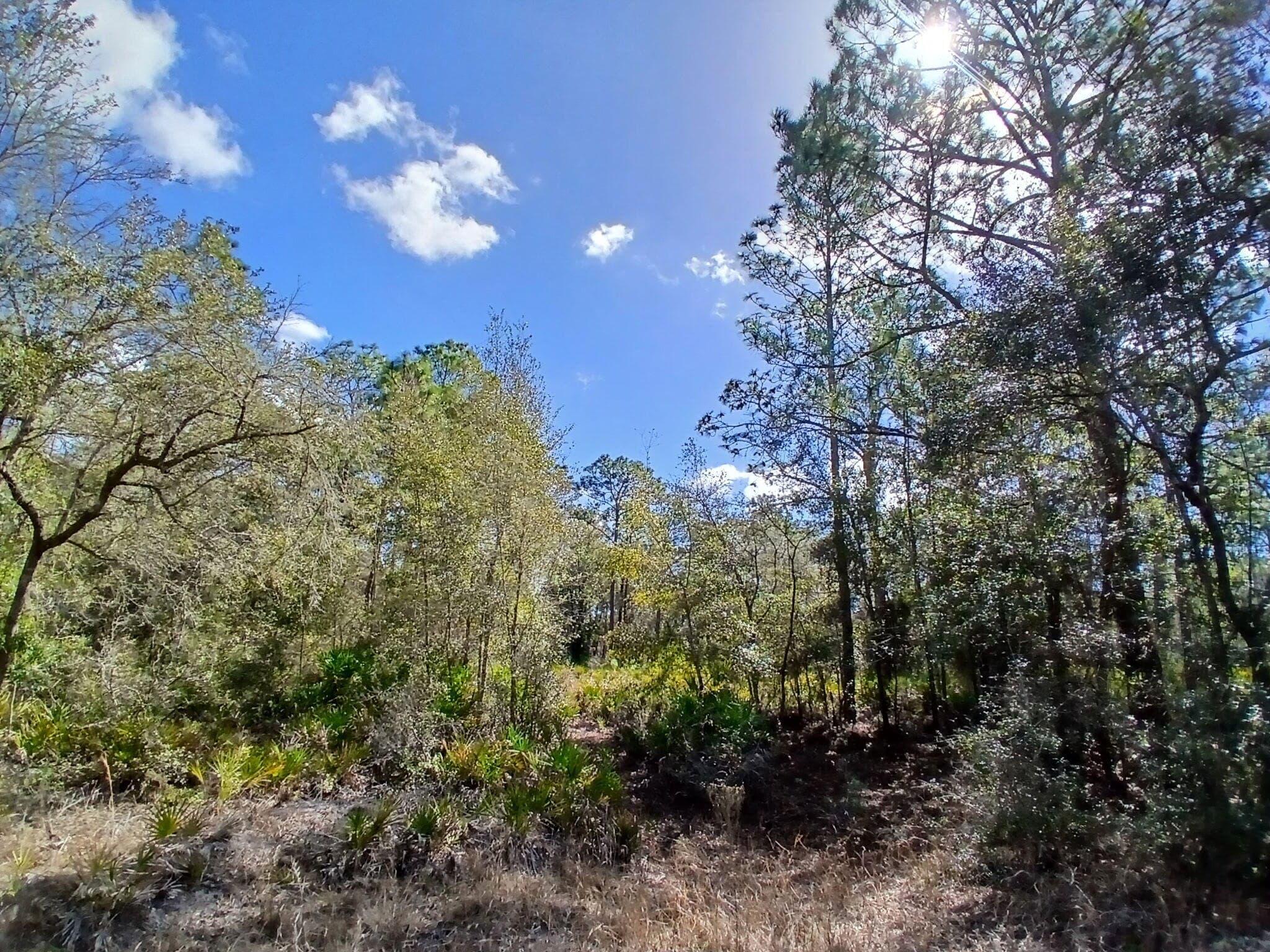 11991 W Flaxen Drive, Crystal River, FL 34428 4