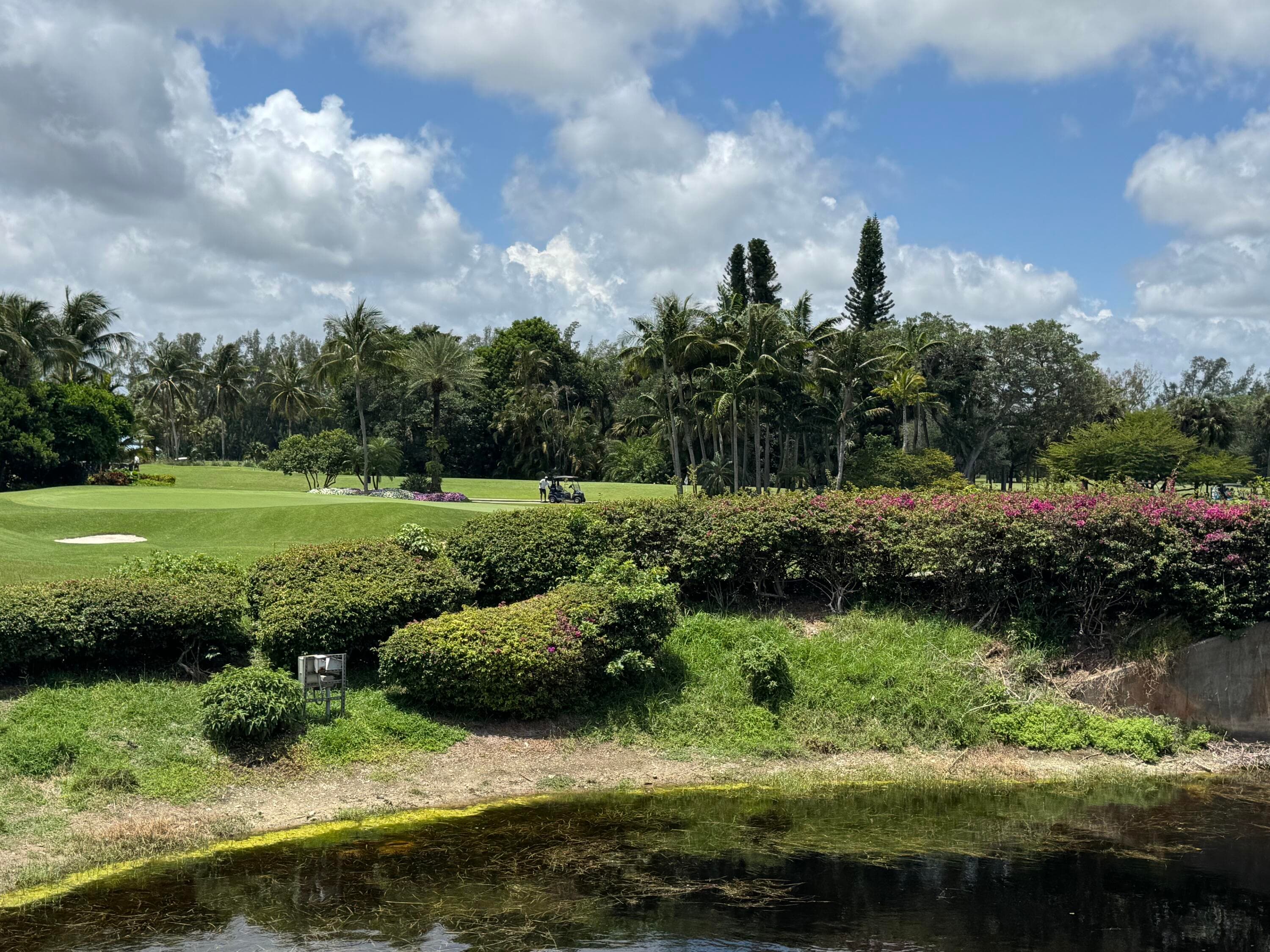 297 Deer Creek Boulevard 1305, Deerfield Beach, FL 33442 50