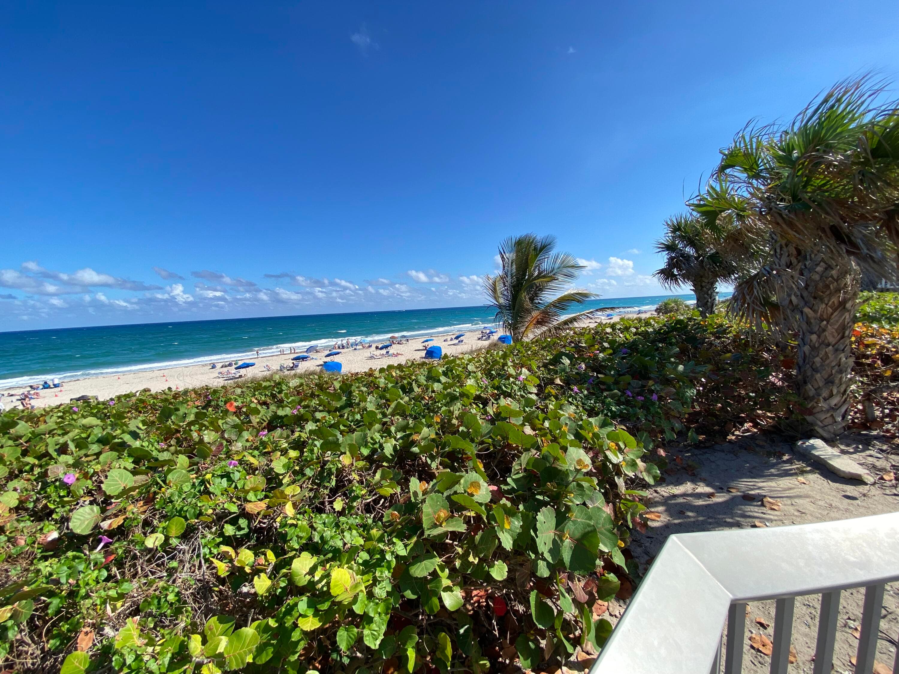 2191 NE 1st Court 202, Boynton Beach, FL 33435 30
