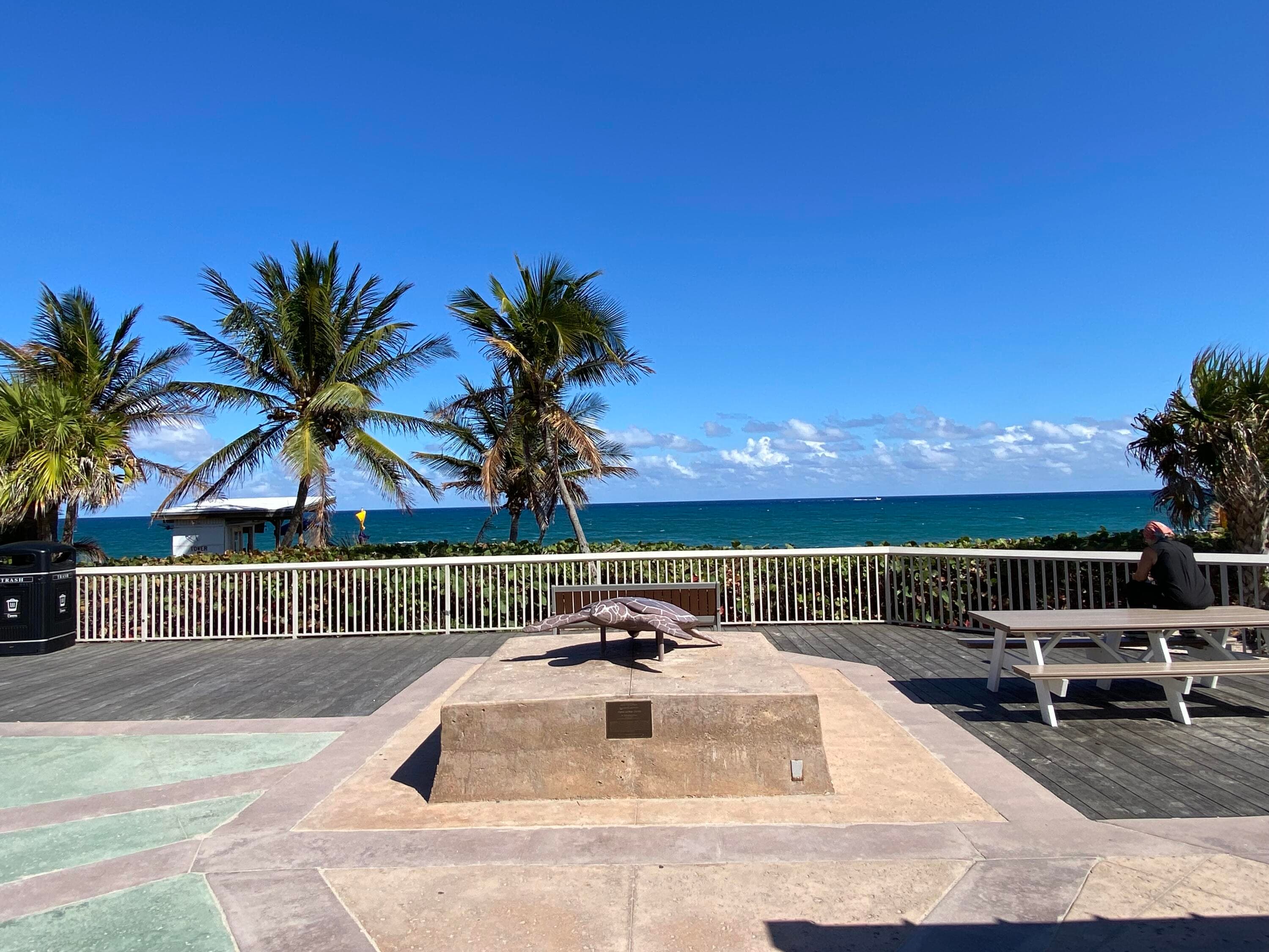 2191 NE 1st Court 202, Boynton Beach, FL 33435 31