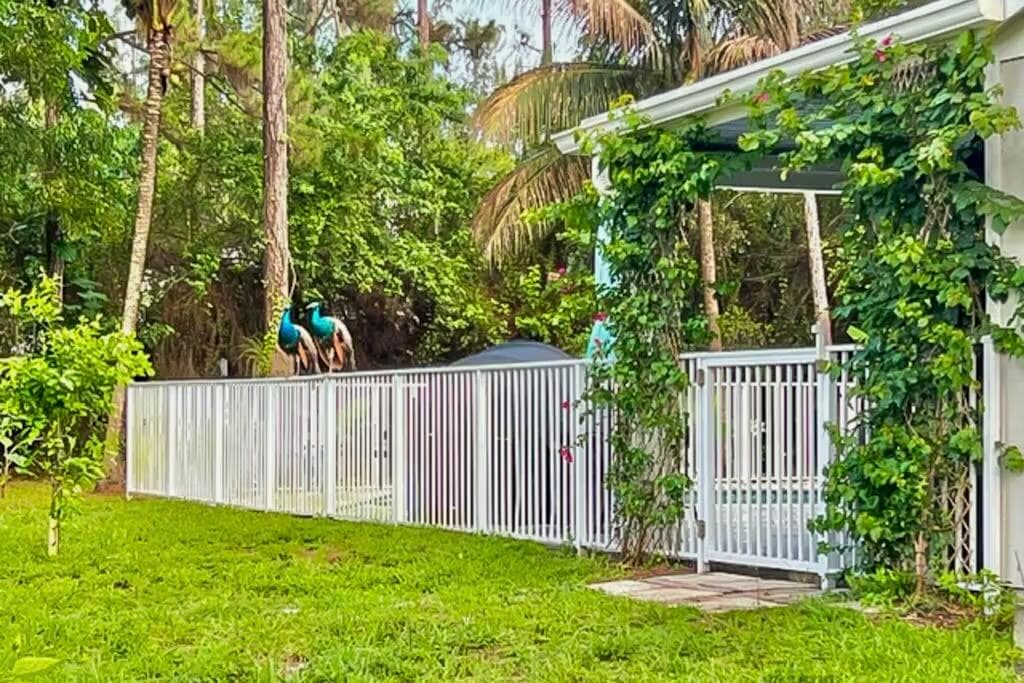 12394 61st Lane N, West Palm Beach, FL 33412 27