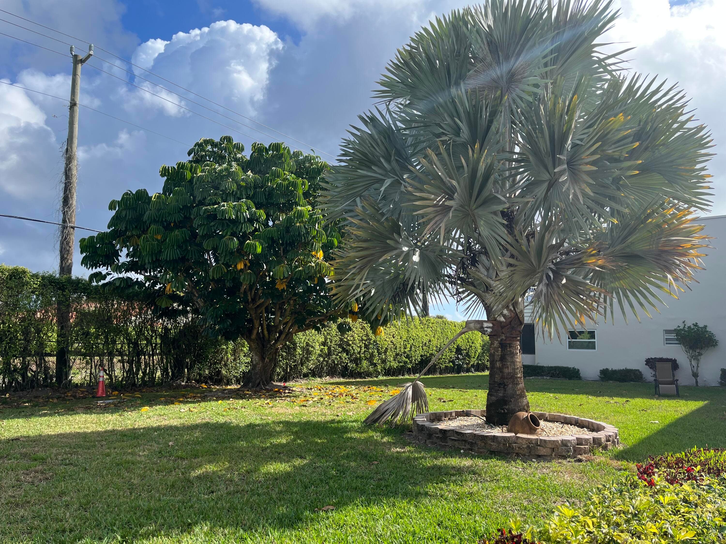 142 Normandy C, Delray Beach, FL 33484 32