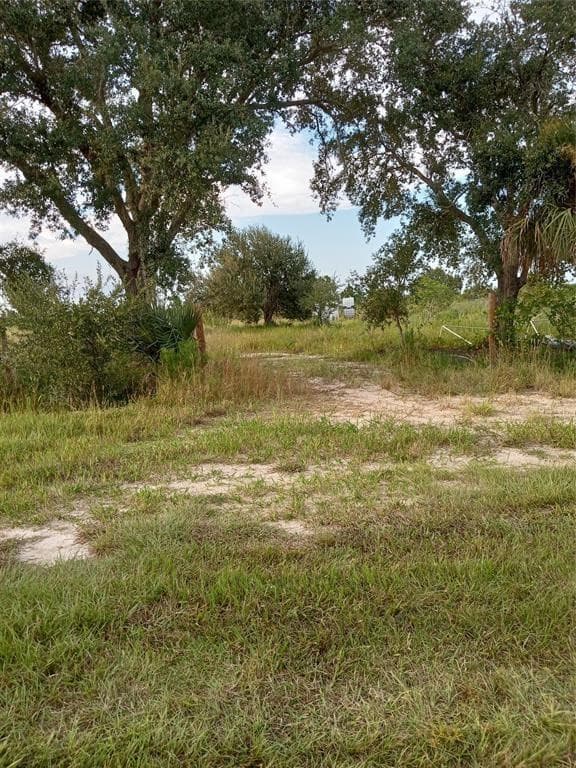 17925 NW 316th Street, Okeechobee, FL 34972 2