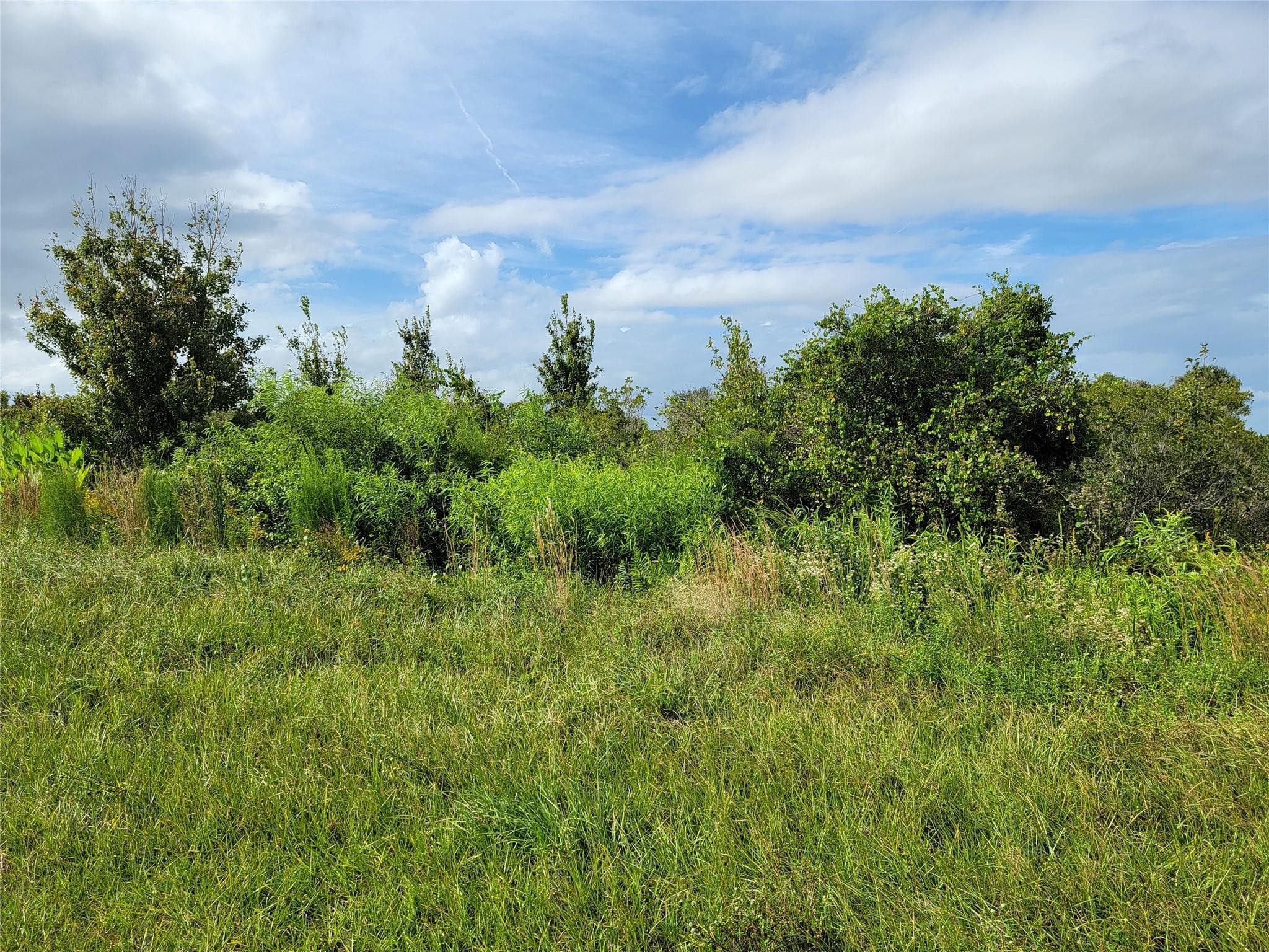 17275 NW 260th Street, Okeechobee, FL 34972 3