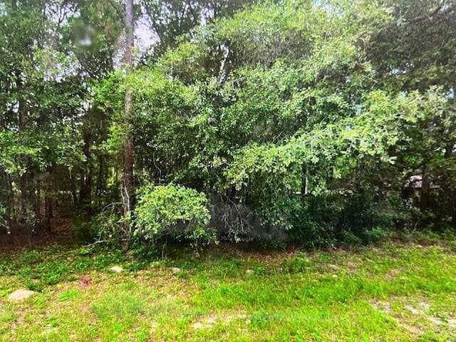 9550 N Quarry Drive, Citrus Springs, FL 34434 2