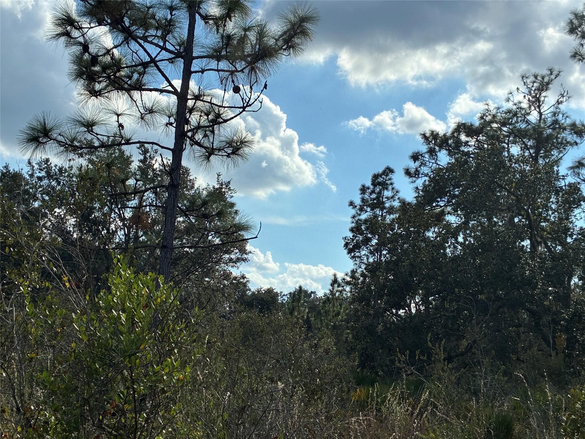 Lot 21 & 22 Plumosa Drive, Indian Lake Estates, FL 2