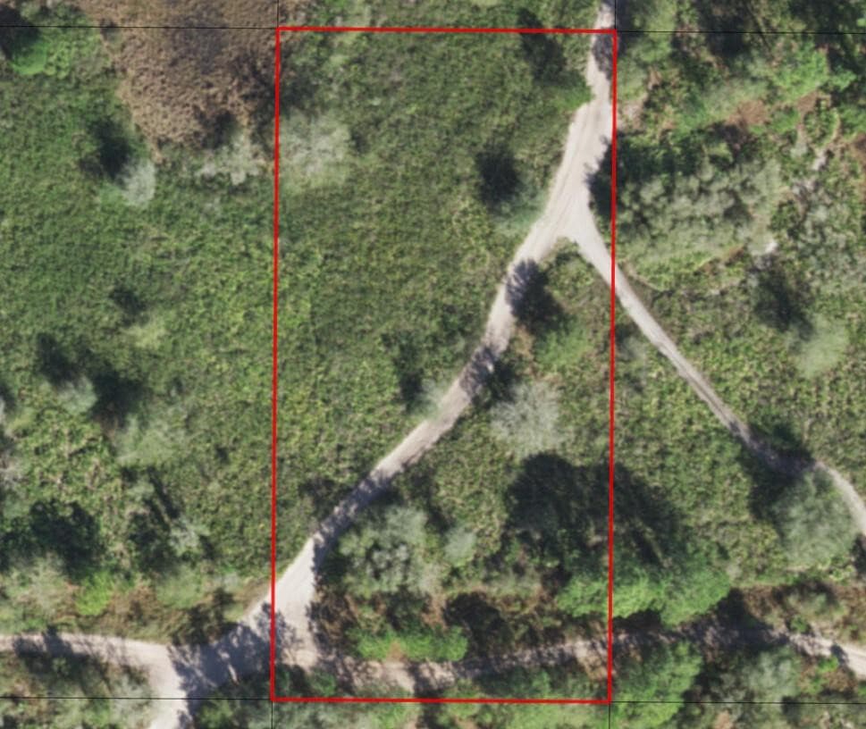 0 County Rd 54, Kathleen, FL 33849 3
