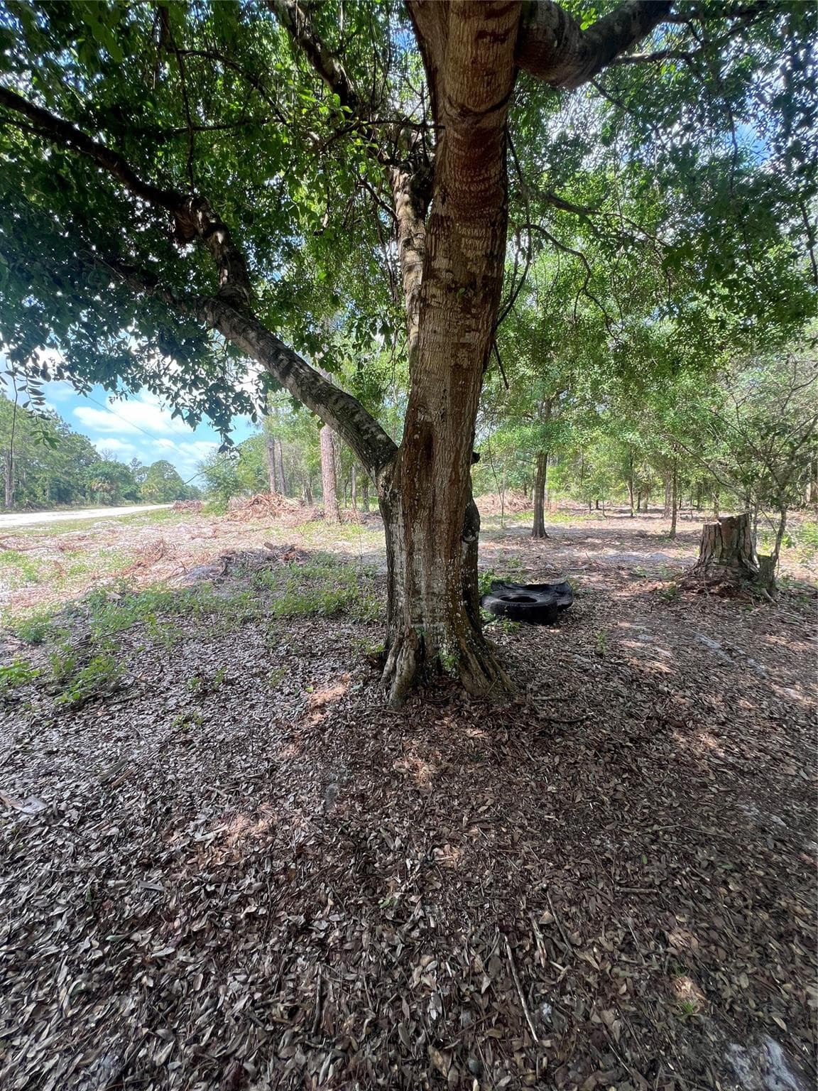 681 N Perimeter Road, Clewiston, FL 33440 3