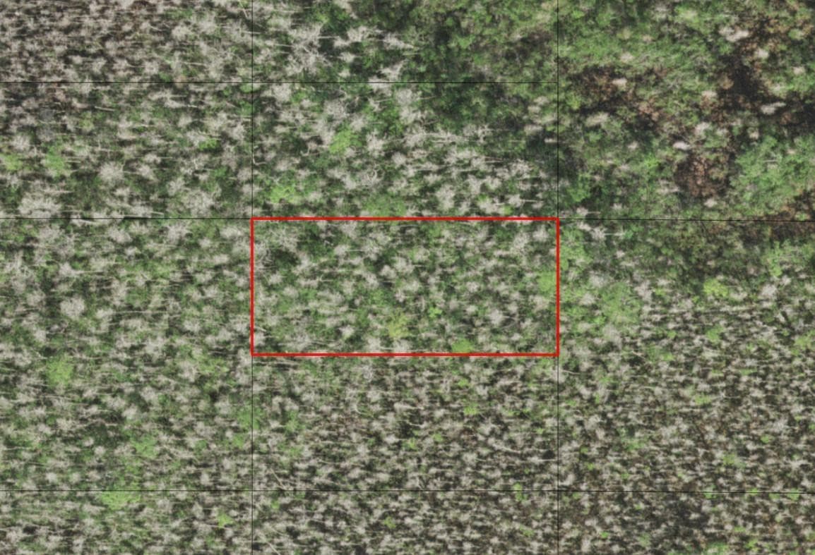0 Holopaw Groves Road, St. Cloud, FL 34772