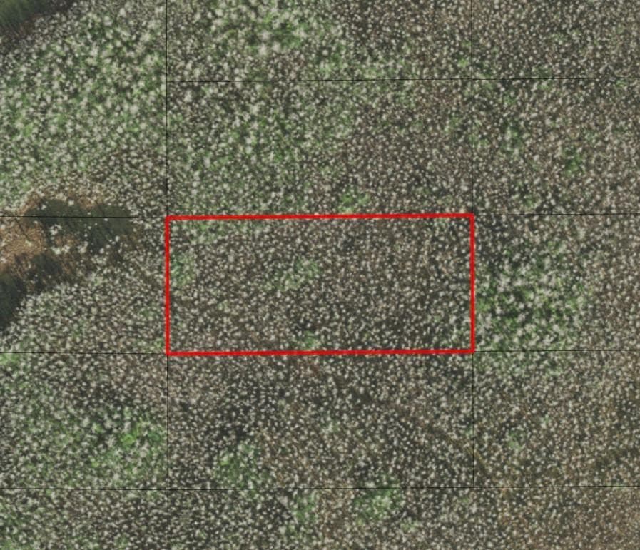 0 Holopaw Groves Road, St. Cloud, FL 34772