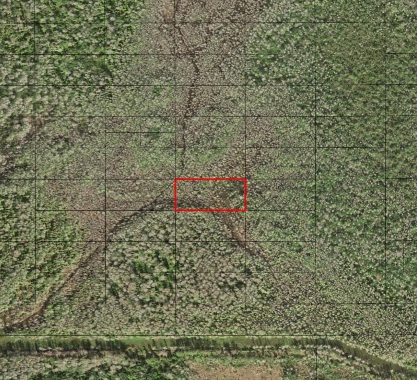 0 Holopaw Groves Road, St. Cloud, FL 34772