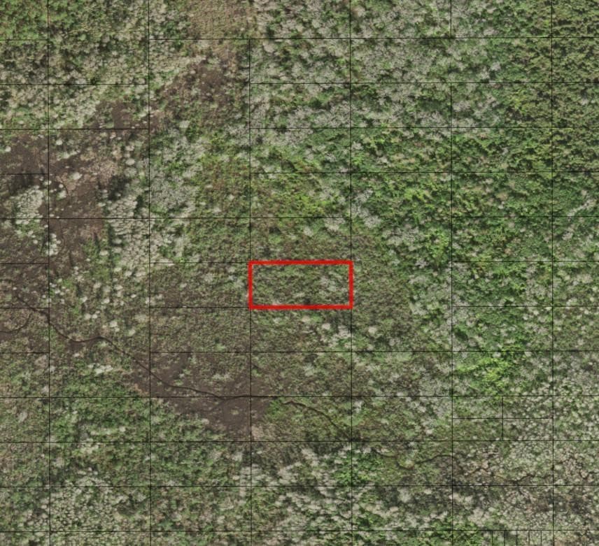 0 Holopaw Groves Road, St. Cloud, FL 34772 2