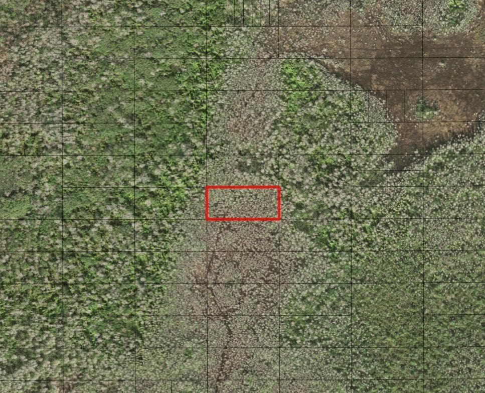 0 Holopaw Groves Road, St. Cloud, FL 34772