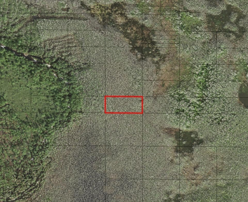 0 Holopaw Groves Road, St. Cloud, FL 34772