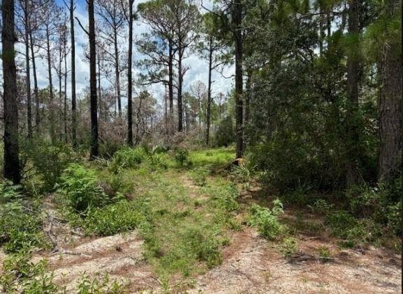 328 Claverton Drive, Lake Placid, FL 33852