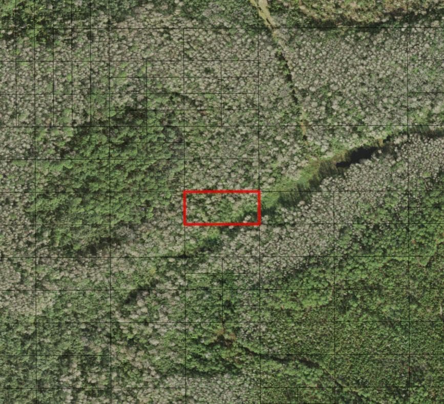 0 Holopaw Groves Road, St. Cloud, FL 34772