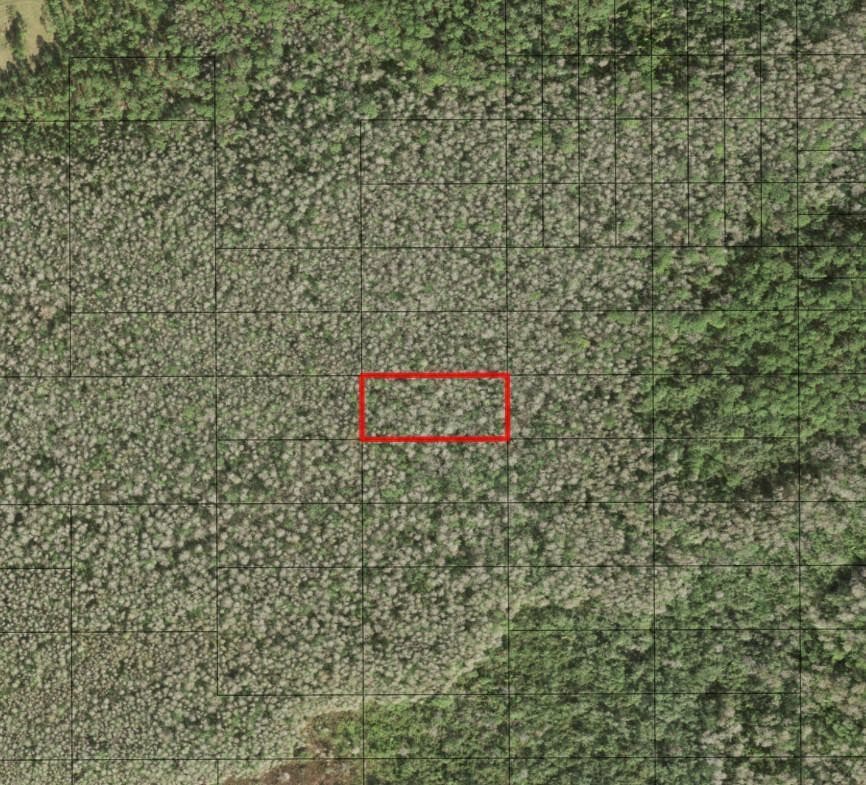 0 Holopaw Groves Road, St. Cloud, FL 34772