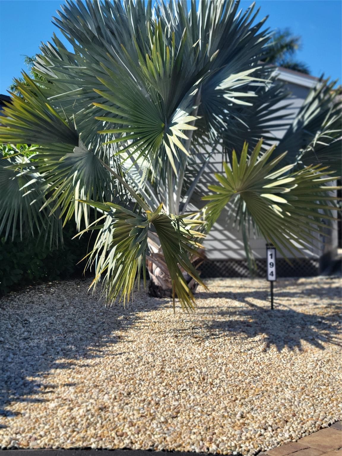 3603 7th Path, Okeechobee, FL 34974 2