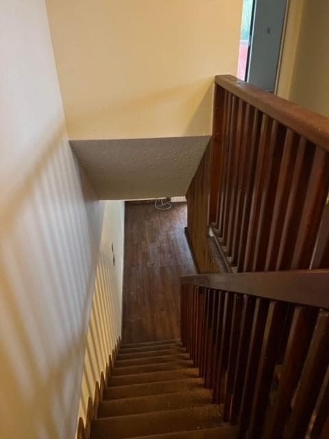 5922 Thomas Street, Hollywood, FL 33021 7