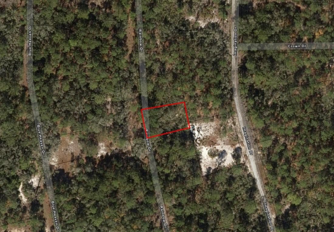221 Rainbow Drive, Lake Placid, FL 33852 3