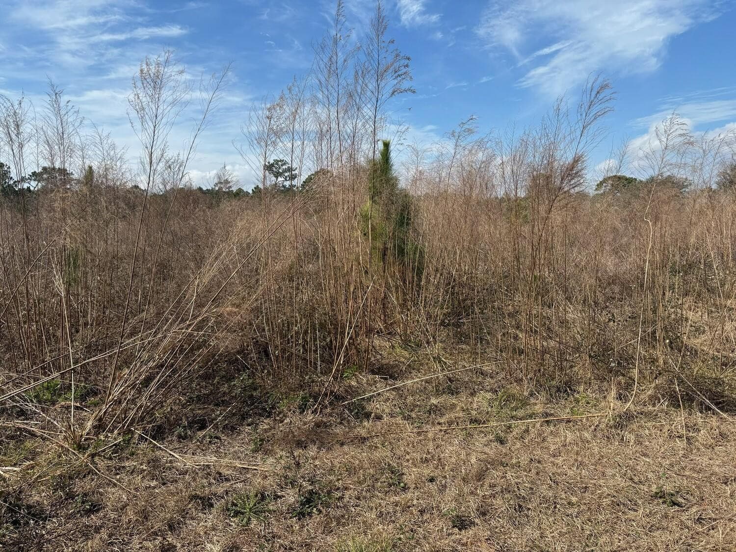 0 Old Grade Road, FL 33868 2