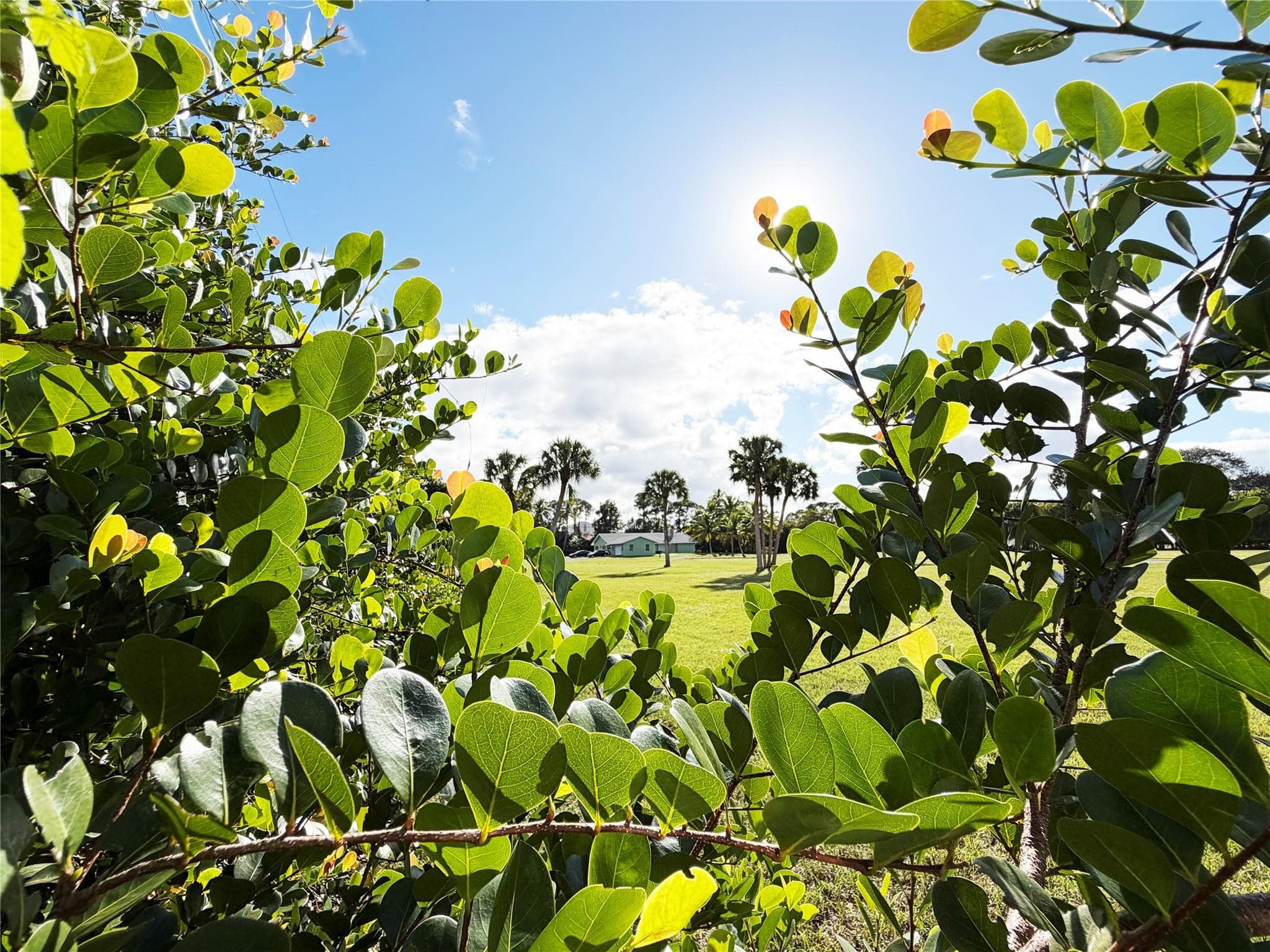 4656 Lillian Avenue, Palm Beach Gardens, FL 33418 11
