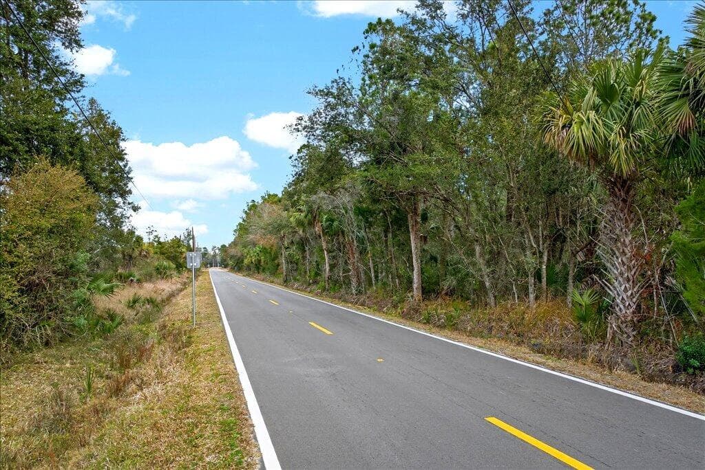 0 Old Haw Creek Road, Bunnell, FL 32110 24