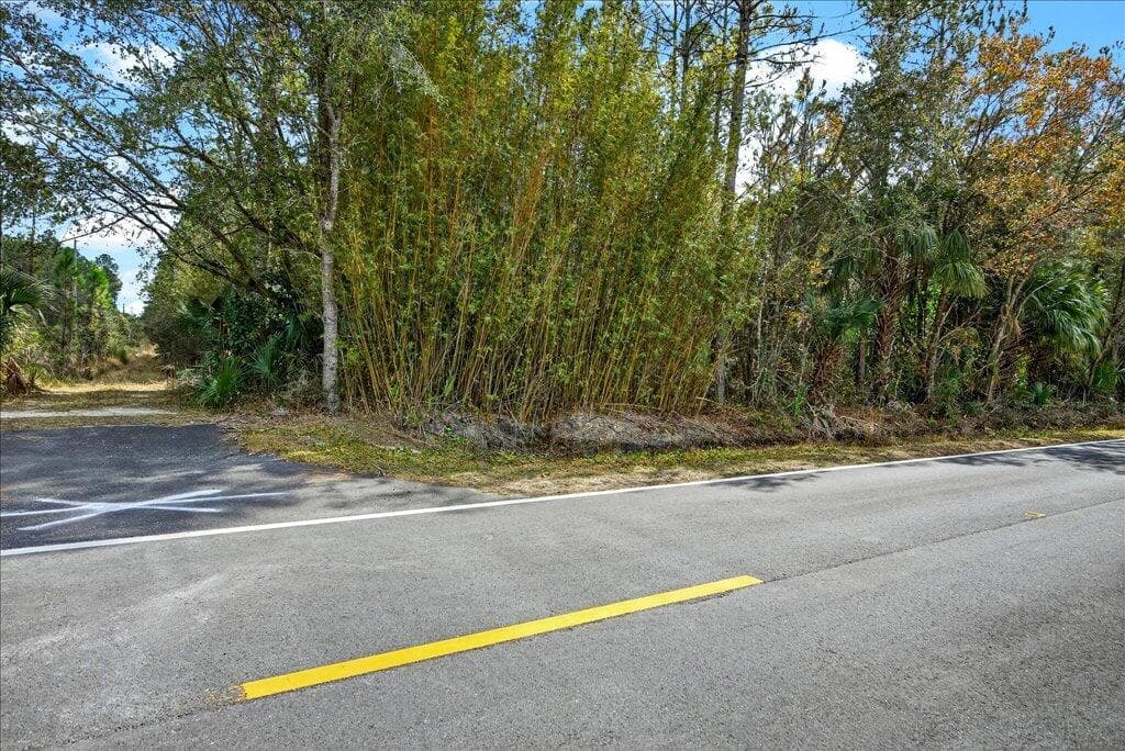 0 Old Haw Creek Road, Bunnell, FL 32110 25