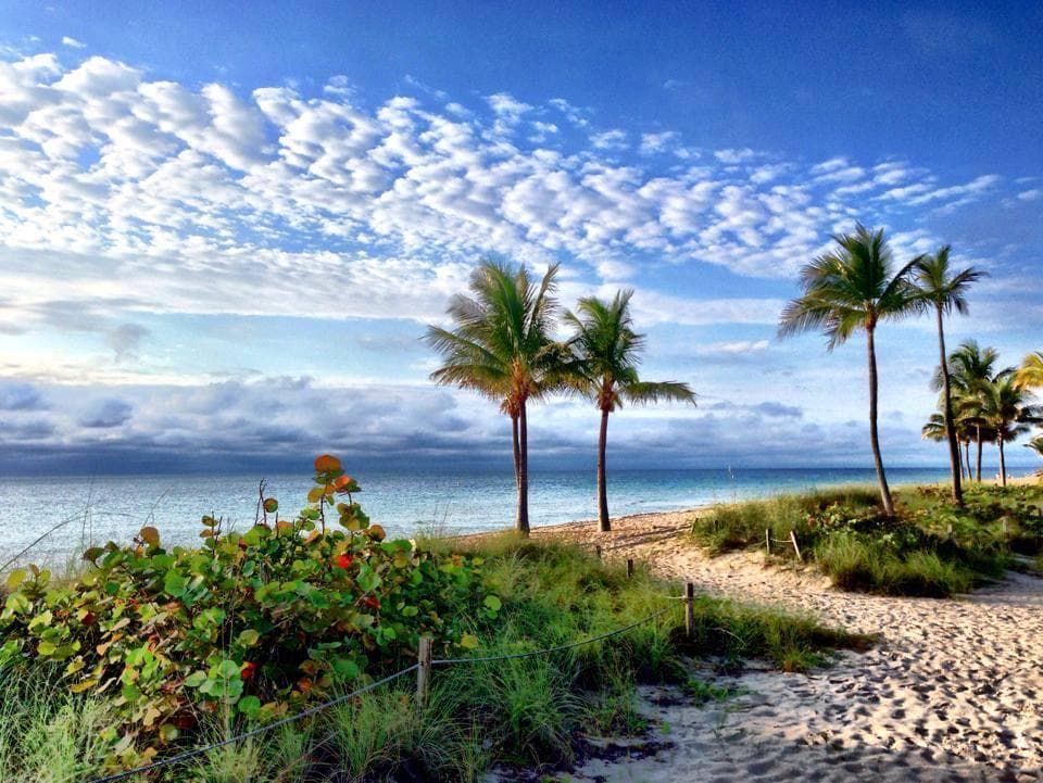 3212 NE 12th Street 506, Pompano Beach, FL 33062 29