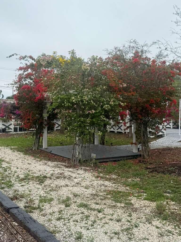 4680 SW 148th Avenue, Southwest Ranches, FL 33331 15