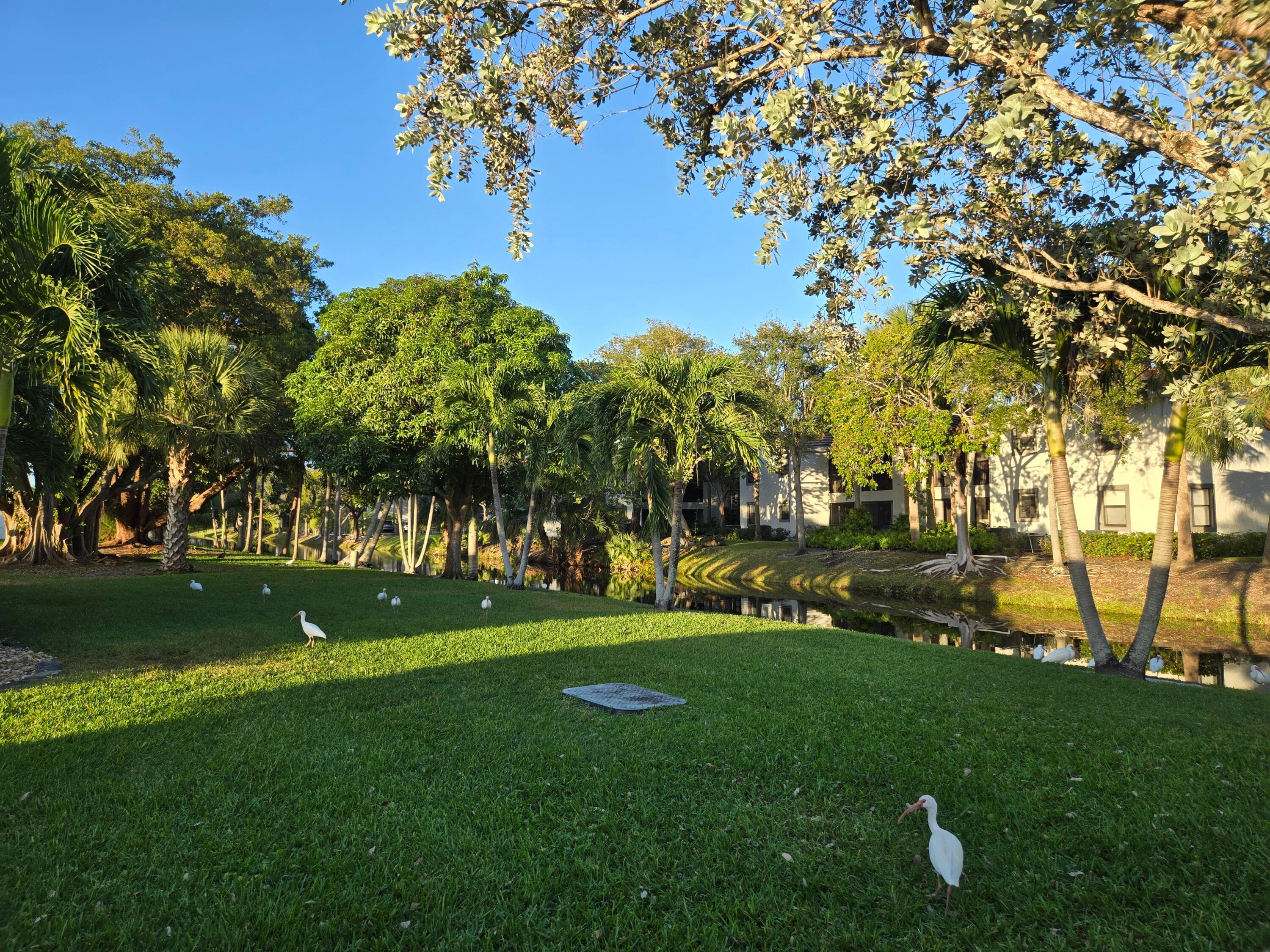 1320 NW 82nd Avenue, Plantation, FL 33322 8