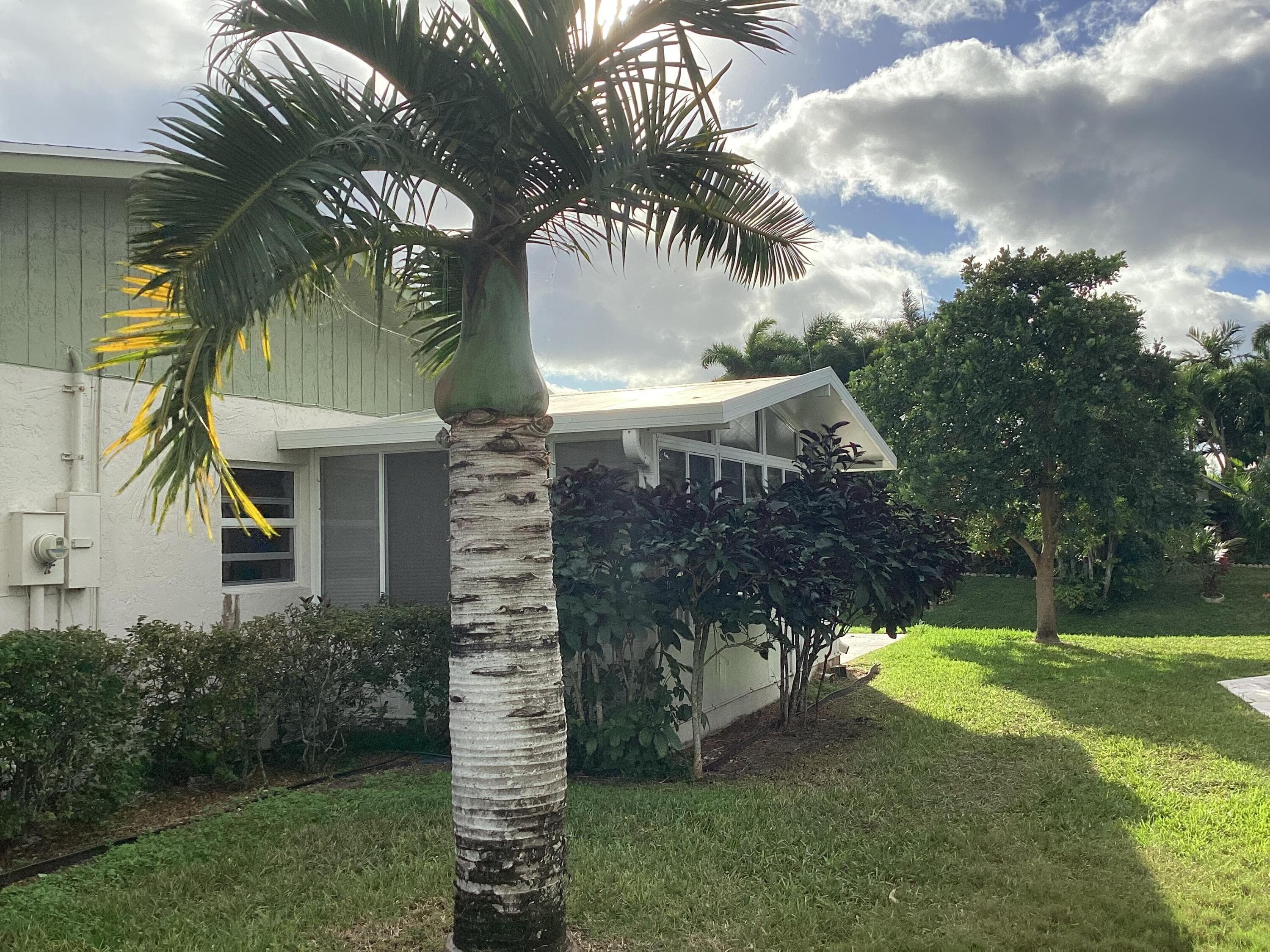13861 Packard Terrace, Delray Beach, FL 33484 2