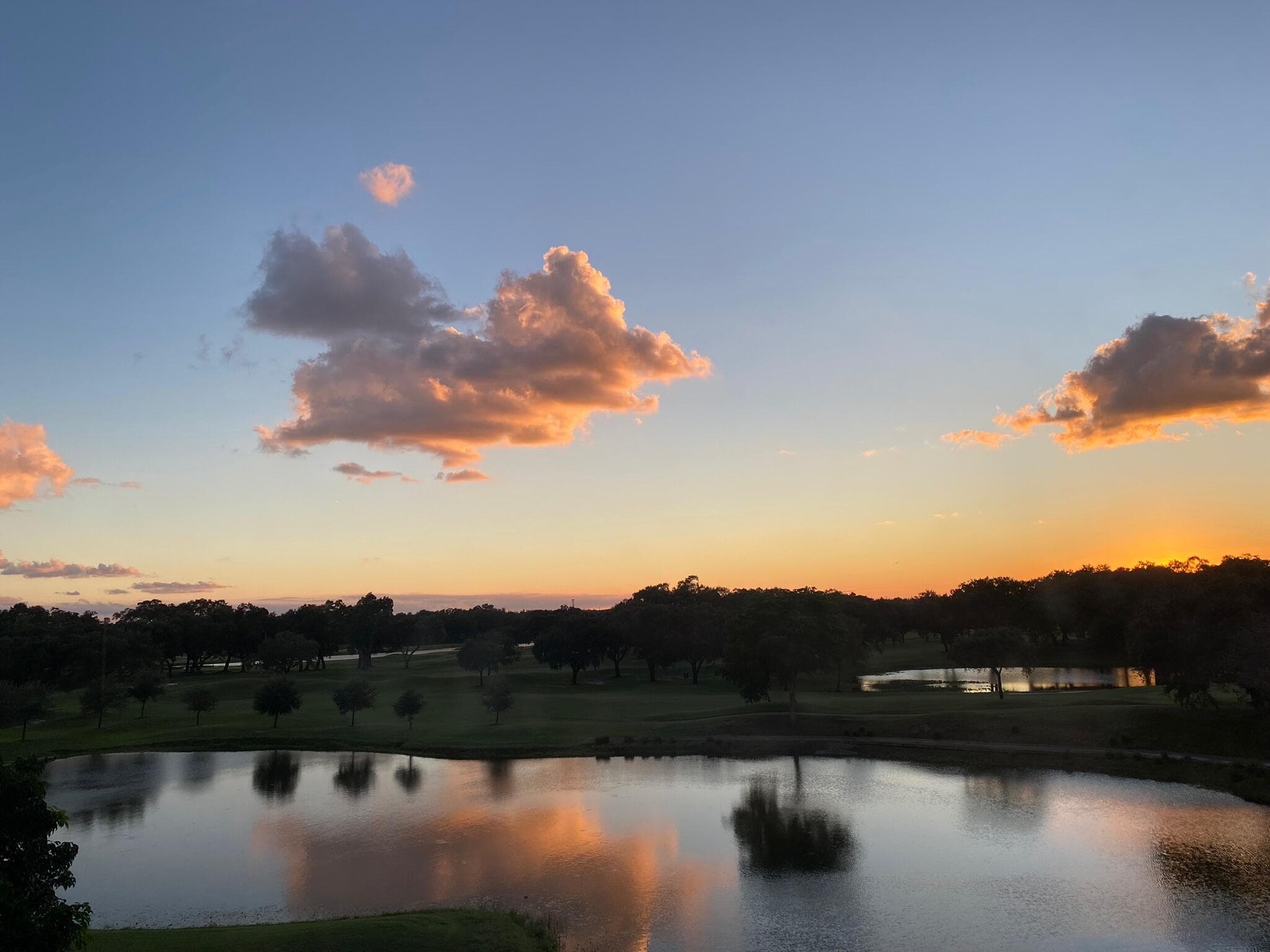 3001 W Rolling Hills Circle 501, Davie, FL 33328 2