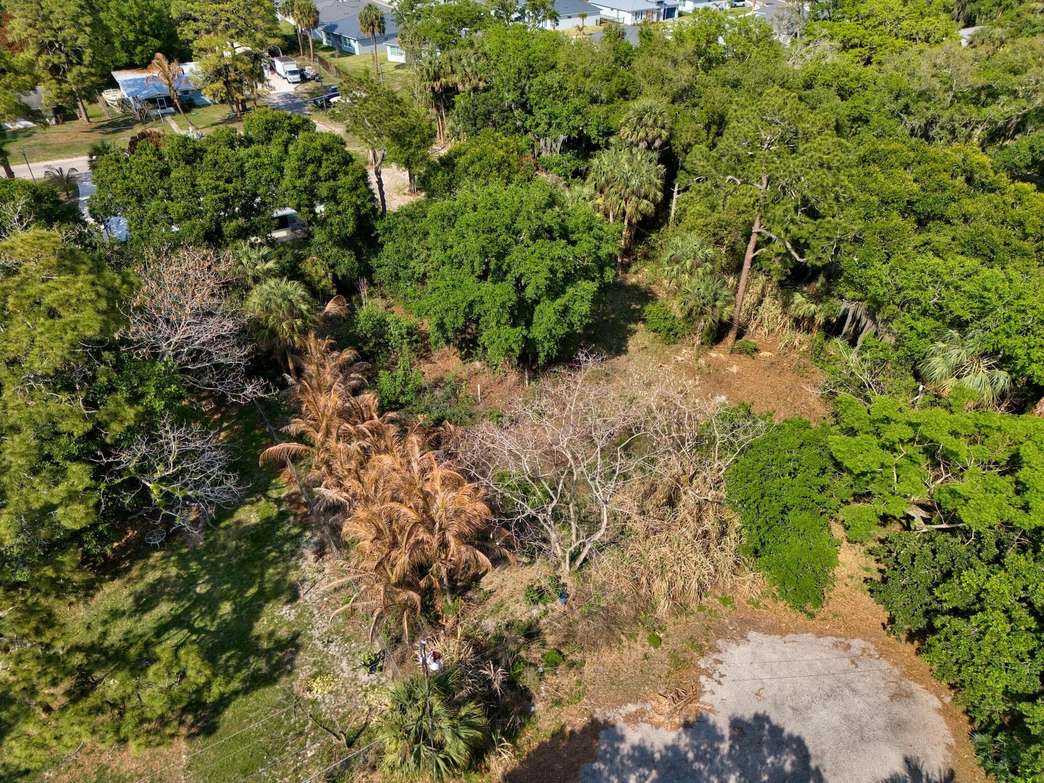 1202 Australian Avenue, Fort Pierce, FL 34982 6