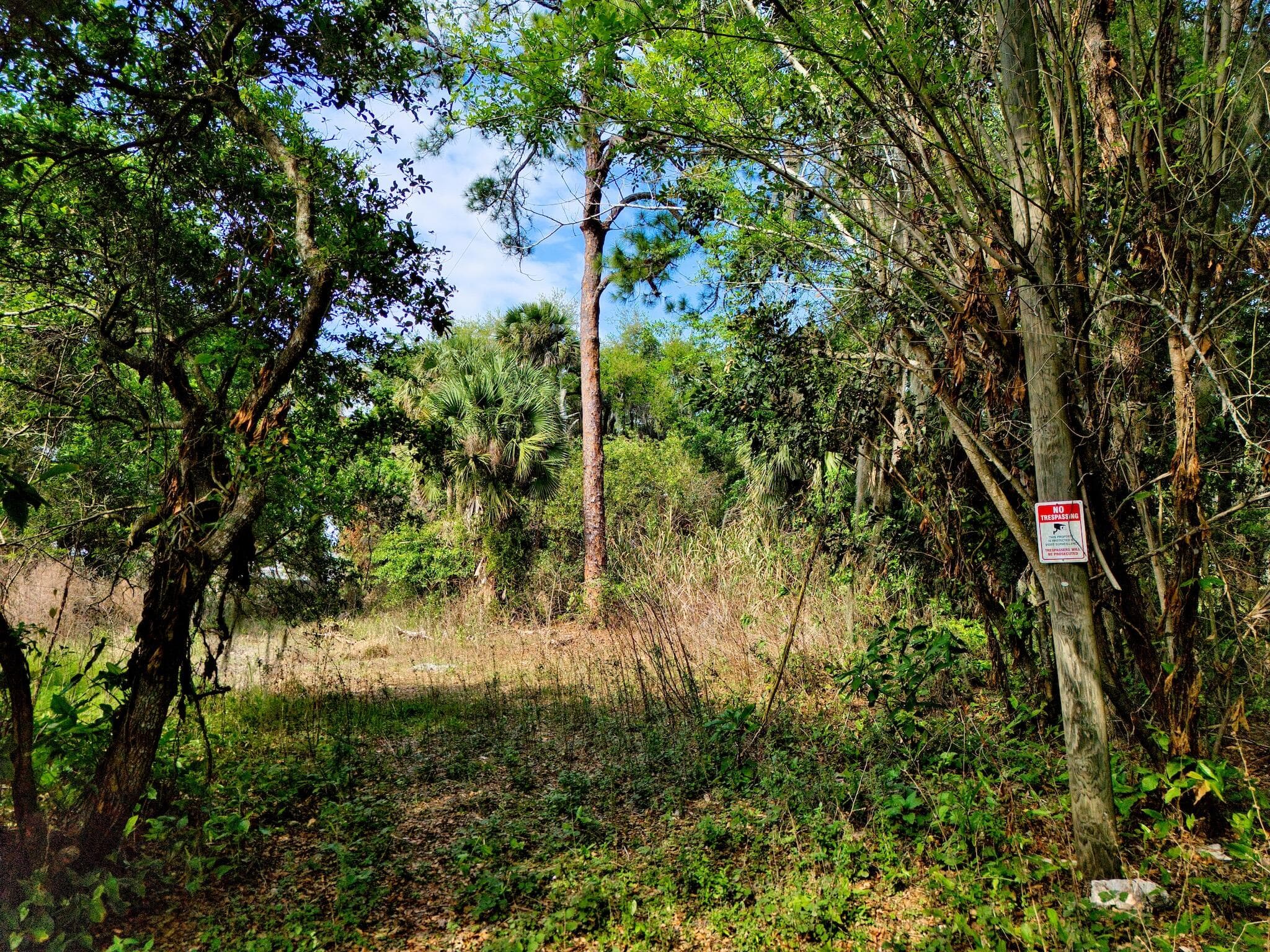 1202 Australian Avenue, Fort Pierce, FL 34982 2
