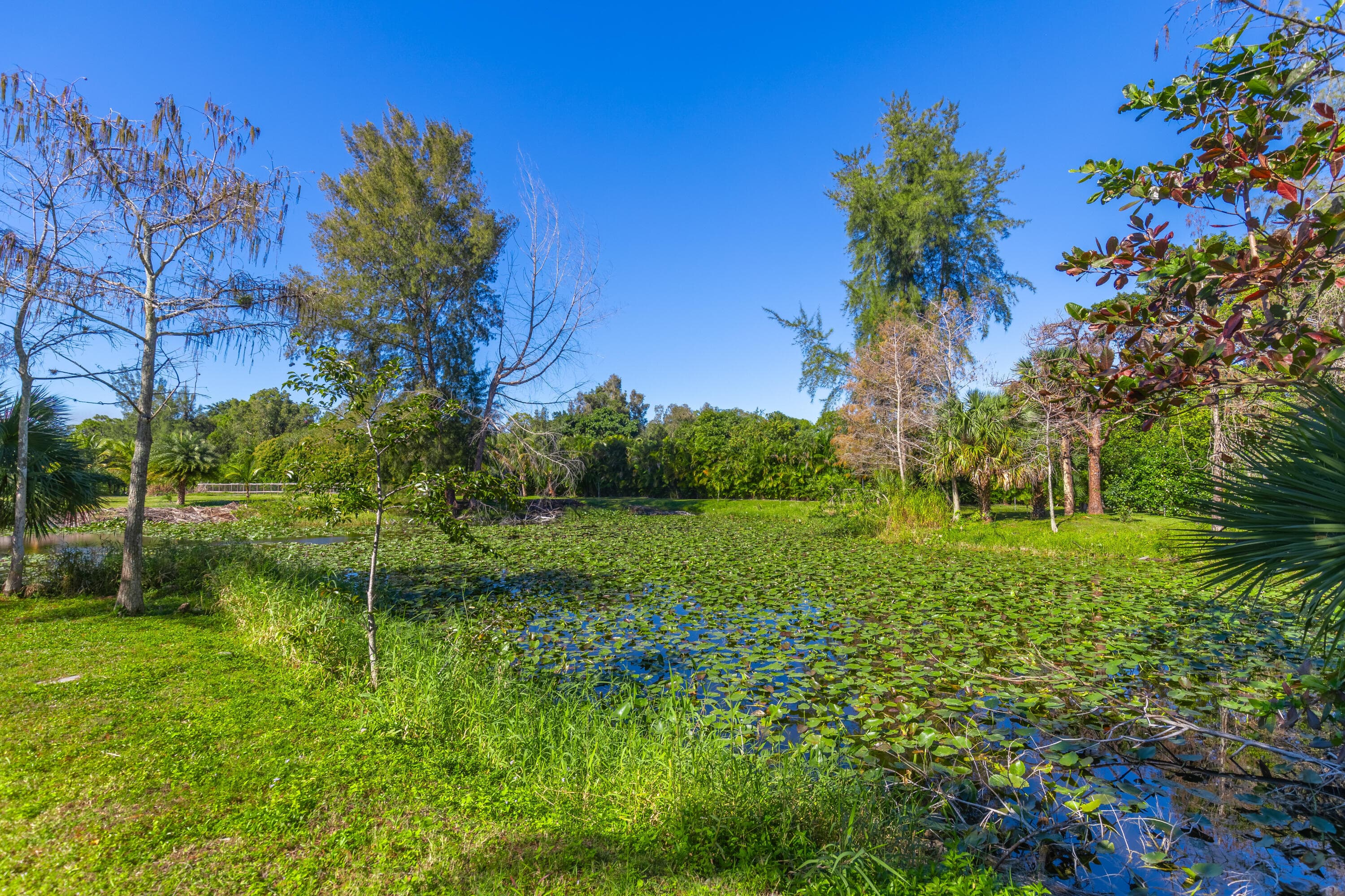 2943 B Road, Loxahatchee Groves, FL 33470 77