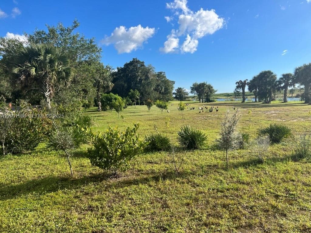 12600 SW Conners Highway, Okeechobee, FL 34974 4