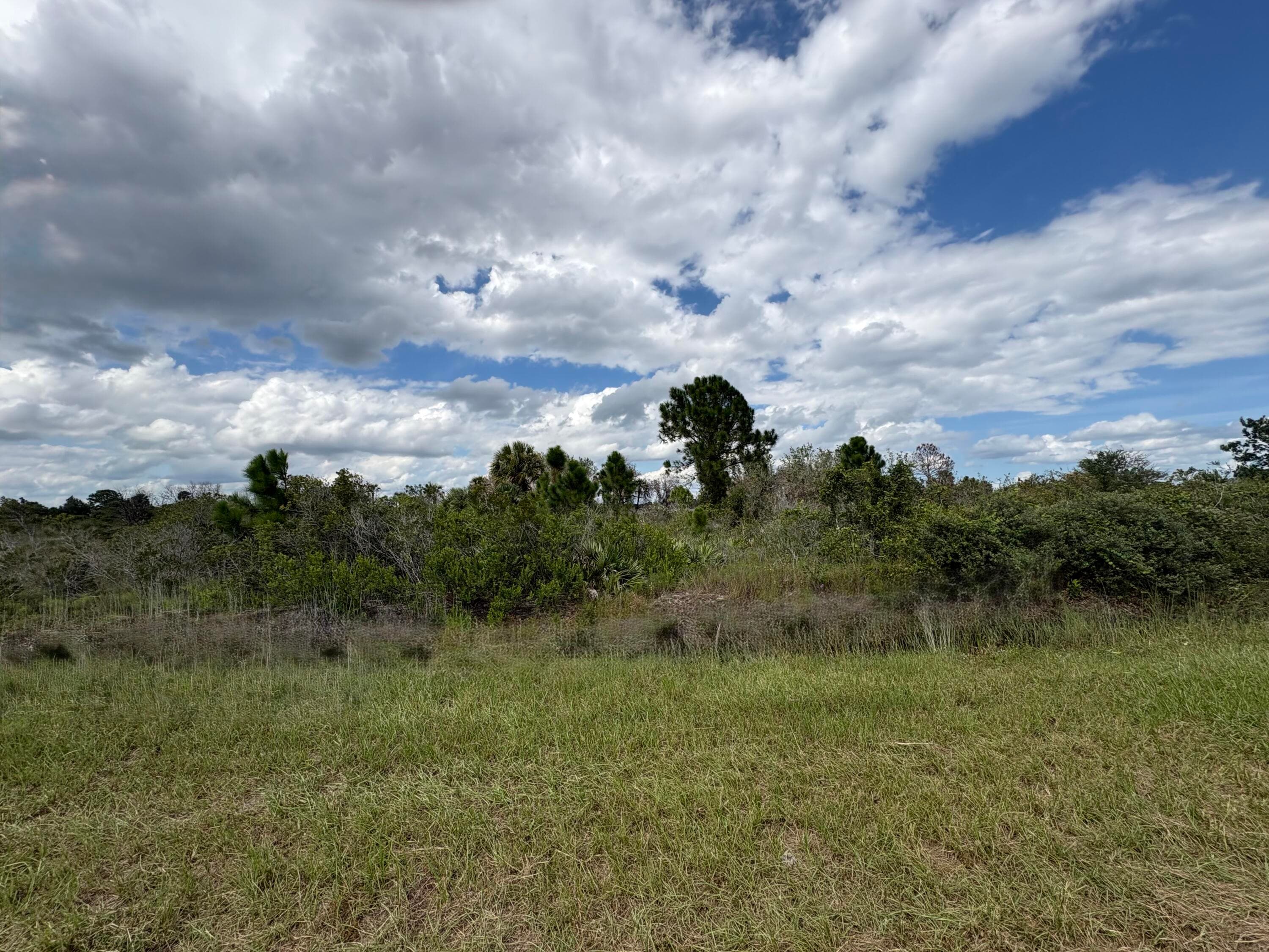17275 NW 308th Street, Okeechobee, FL 34972 2