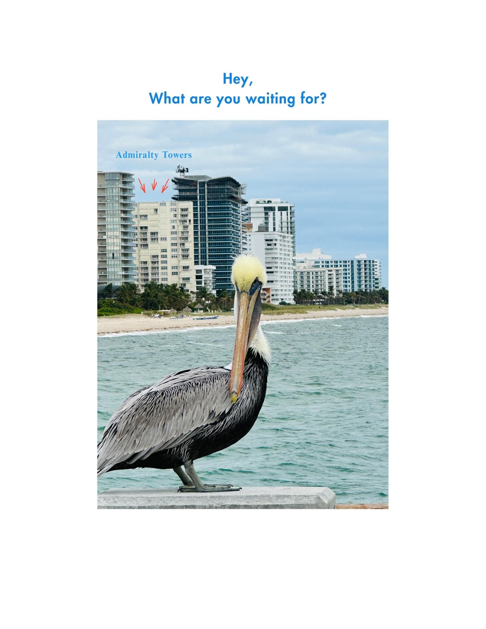 750 N Ocean Boulevard Apt 1904, Pompano Beach, FL 33062 72