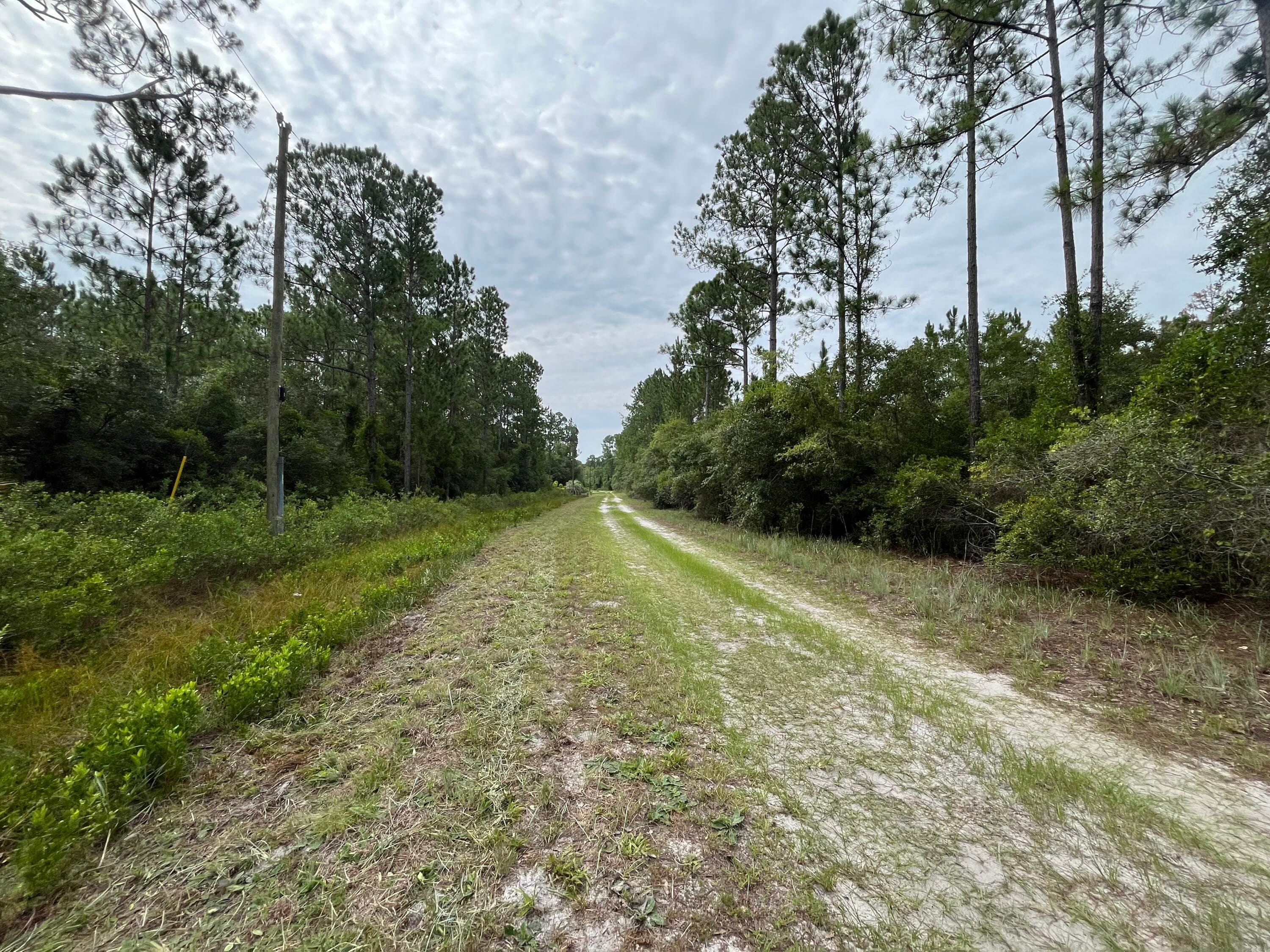 122 Glenside Street, Georgetown, FL 32139 9