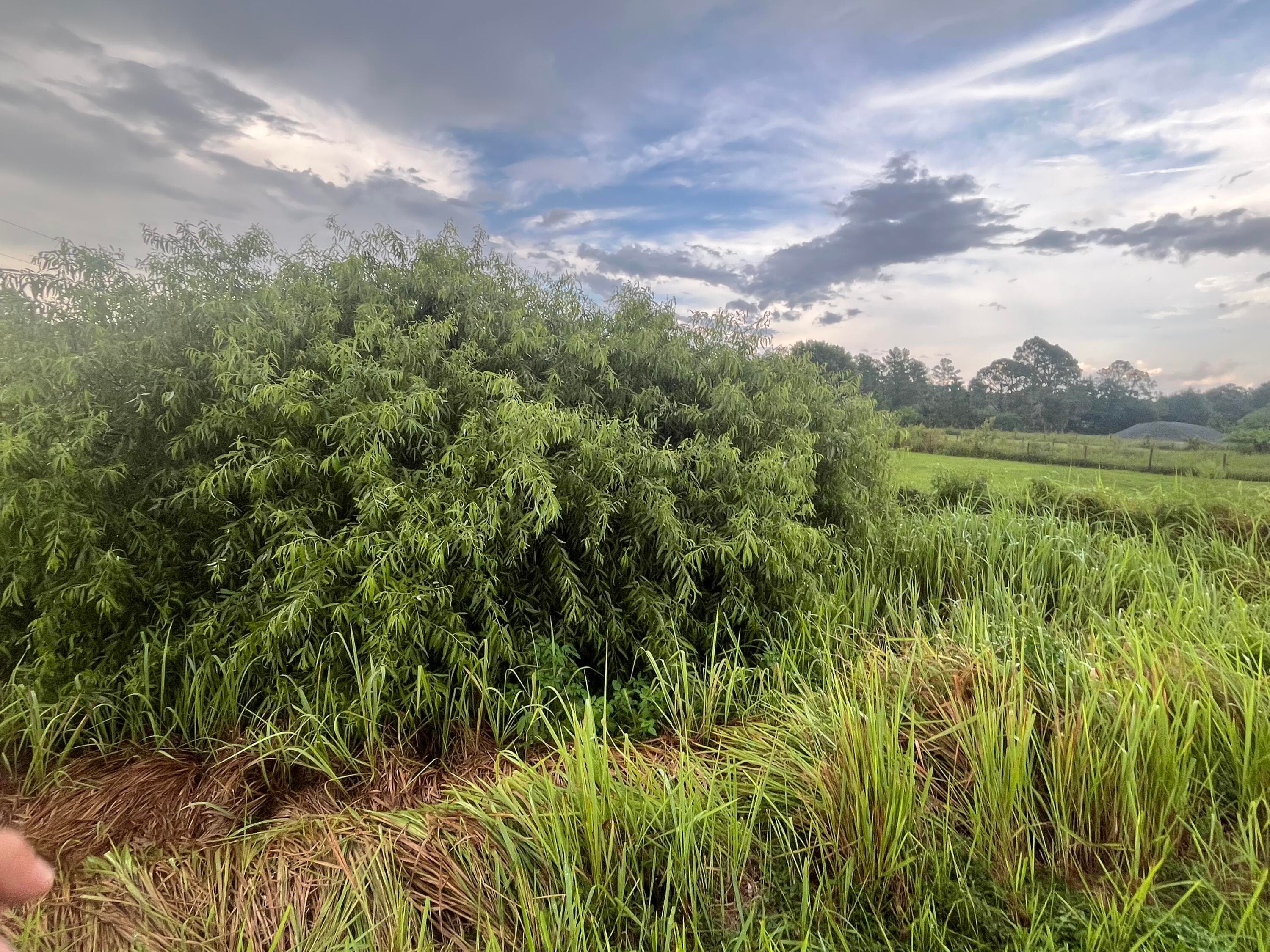 0 E State Rd 60, Okeechobee, FL 34972 6