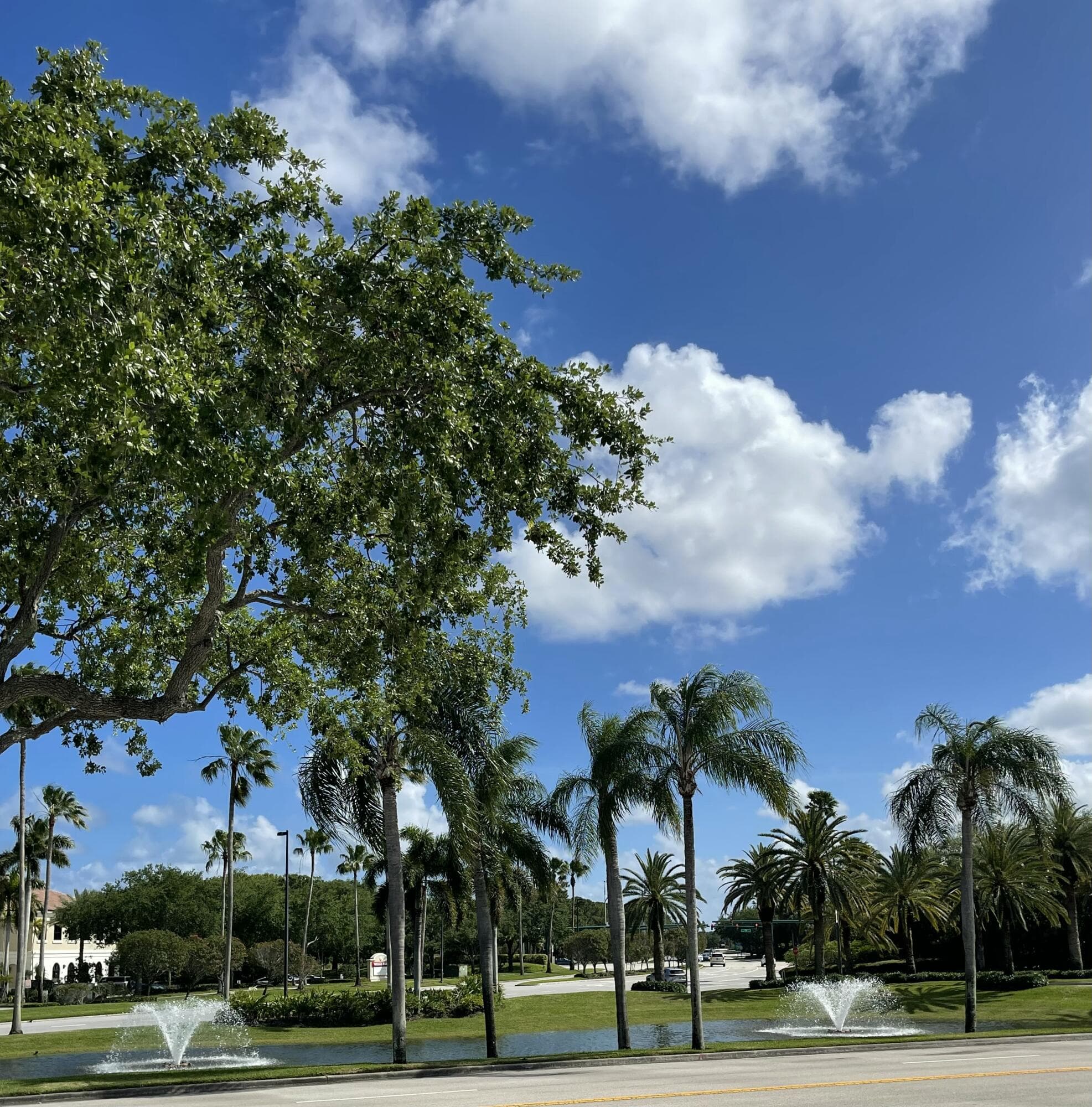 8895 N Bates Road, Palm Beach Gardens, FL 33418 56