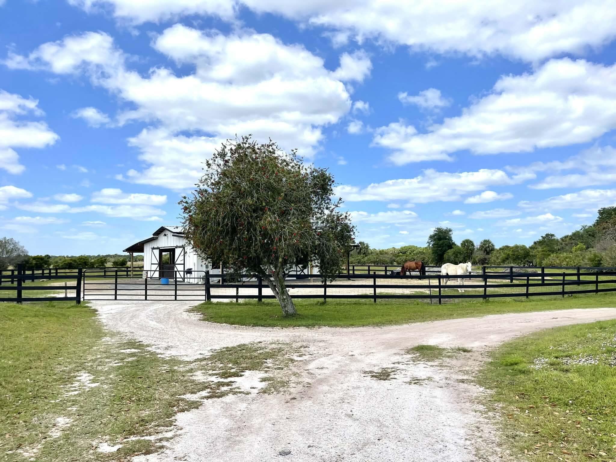 8121 NW 58th Lane, Okeechobee, FL 34972 13
