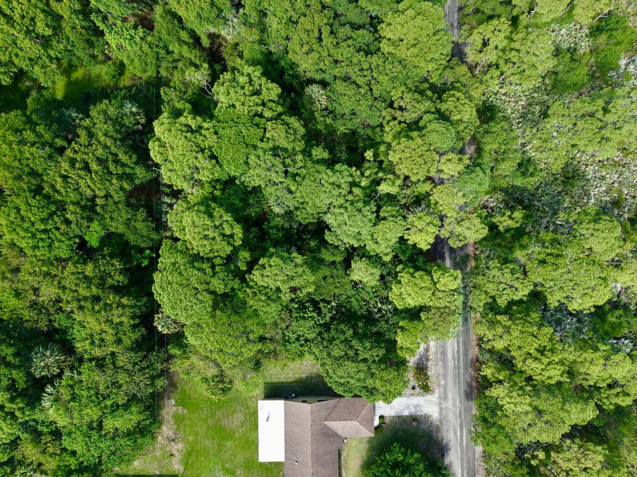 0000 Notlem Drive, Fort Pierce, FL 34982 11